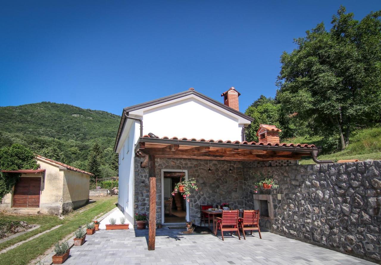 Guest House 'Villa Fani' Veprinac With Jacuzzi Exterior photo