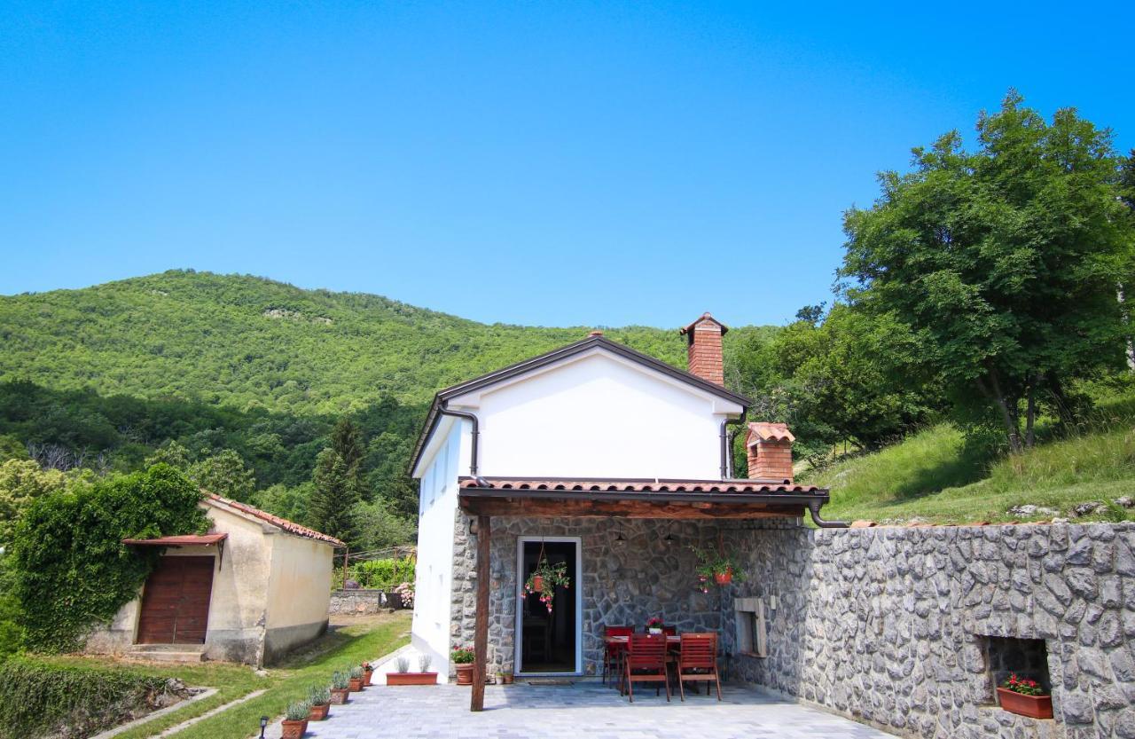 Guest House 'Villa Fani' Veprinac With Jacuzzi Exterior photo